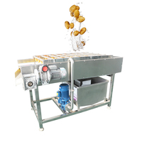Fruit En Groente Haarwol Roller Reinigingsmachine Wortel Was En Schilmachine