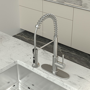 Single Handle <strong>Pull</strong> Down <strong>Sprayer</strong> for Kitchen Use - Product Image 4