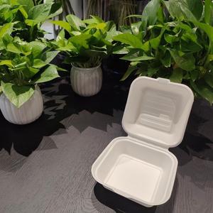 Caja para Hamburguesas de 6 Pulgadas, Contenedor de Bagazo Biodegradable, Caja Desechable para Llevar, Tipo Concha con Bisagras - Product Image 3