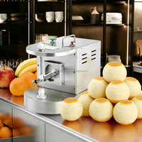80W Automatische Fruit- en Groenteschilmachine van RVS, Commerciële Appel- en Sinaasappelschilmachine voor professioneel gebruik