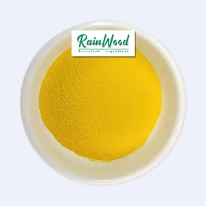 Rainwood hot sale food grade pumpkin extract powder organic pumpkin seed protein flour powder with low price and free samples