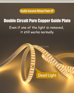 ไฟแถบ LED SMD 2835 กันน้ำ IP67 220V แบบยืดหยุ่น ตัดได้ แสงวอร์มไวท์ แสงคูลไวท์ สำหรับตกแต่งอาคาร - Product Image 4