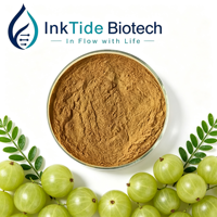 Poudre d'extrait de Phyllanthus Emblica, extrait naturel de baies d'Amla en vrac, matière première polyphénolique pour l'alimentation et les produits chimiques quotidiens