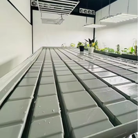 Système hydroponique de table à flux et reflux sur banc roulant pour serre
