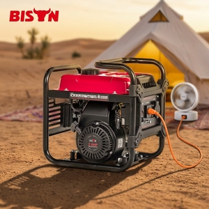 Générateur d'électricité portable à essence BISON (CHINE) 1KW 220V, inverseur 100% cuivre, 4 temps, refroidi par air, écologique, silencieux, petite puissance - Product Image 4
