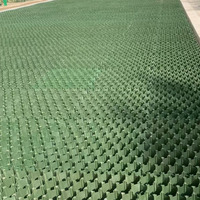 Grille de stabilisation du sol en HDPE anti-âge pour allées de manades de chevaux et espaces verts