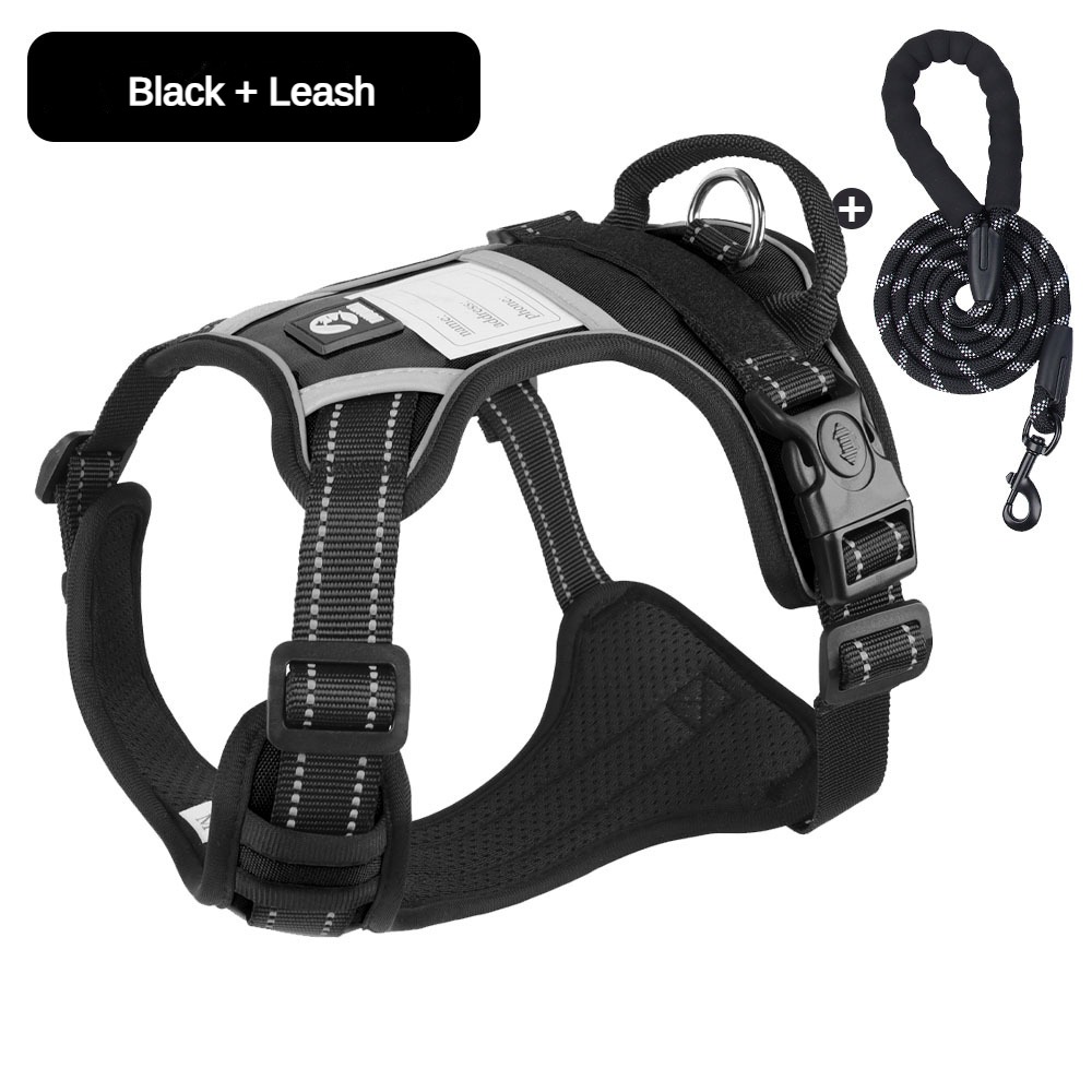 Nameplate Black+leash set