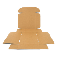 Cajas de Envío Personalizadas de Cartón Corrugado Estilo Avión, Impresas por Dentro y por Fuera, con Cierre Automático, para Suministros Dentales y Clínicas
