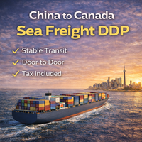 Expédition maritime LCL+Express Chine-Canada avec DDP, transit en 30-45 jours, assurance incluse