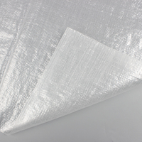 Approvisionnement d'usine 10kg 20kg 25kg PP sac durable Transparent pp tissé sac pour le riz