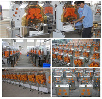 Presse-citron automatique en acier inoxydable, système à presser pour jus d'orange et citron