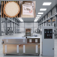 Ligne de production clé en main pour l'extrusion de riz fortifié, usine de fabrication, équipement de traitement du riz nutritionnel artificiel