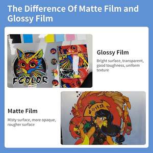 USA Stock Local 30cm 60cm Rouleau Dtf Film d'impression par transfert pour t-shirt Impression Dtf - Product Image 5