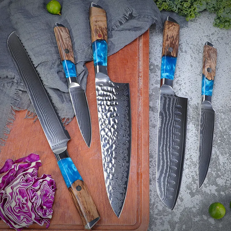 Tuobituo Set De Cuchillos De Forged Chef Kitchen Knife Kit 5 Pcs Professional 67 Layers Damascus Steel Kitchen Knife Set