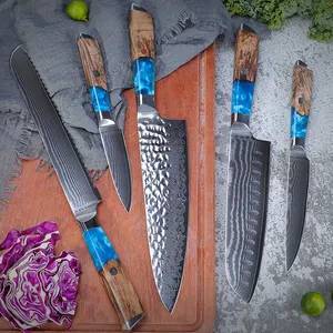 Tuobituo Set De Cuchillos De Gesmede Chef Keukenmes Kit 5 Stuks Professionele 67 Lagen Damascus Staal Keukenmes Set