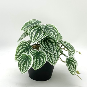 Plantes artificielles miniatures en pot Meng Jie : Feuilles de pastèque, begonias, monstera en caoutchouc souple – Décoration végétale pour la maison et accessoires de mariage - Product Image 4