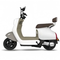 Vélo électrique HONGYI HY-21, cadre en acier carbone 12 vitesses, moteur sans balais 500W, batterie au plomb-acide 60V, autonomie 60 km, assistance au pédalage, double usage urbain