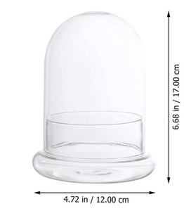 Cúpula de campana de cristal redonda decorativa transparente hecha a medida con Base de cristal con orificio de aire para suculentas en miniatura Venus <span class=keywords><strong>atrapamoscas</strong></span> - Product Image 4