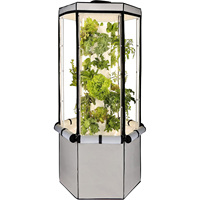 2025 le plus populaire hiver robuste maison intelligente agriculture jardin arrière-cour résistant aux intempéries Portable cadre en métal Mini maison verte tente