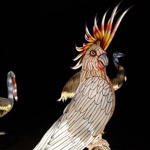 פנס סיני גדול בהתאמה אישית עם תאורה לאירועי תיור ליליים בחוץ ובפנים, קישוט תאורה בנושא חיות. - Product Image 3