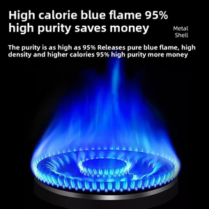 Fourneau métallique portable double usage pour jardin, <span class=keywords><strong>camping</strong></span> extérieur, gaz <span class=keywords><strong>butane</strong></span>, allumage automatique, kérosène, design simple et manuel - Product Image 5