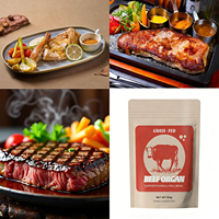 WELLBODY OEM Beef Liver Organ Instant Powder Natural Food Grade Adult Immune Support