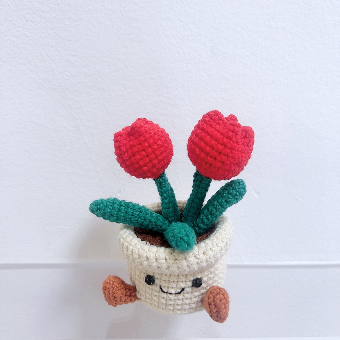 Petite tulipe rouge en pot individuel, prête à l'emploi.