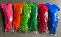 70-75CM Turq Straußen feder für DIY Craft Haar Kostüm Angeln Zubehör Fliegen binden Material Traum fänger Fransen Dekor