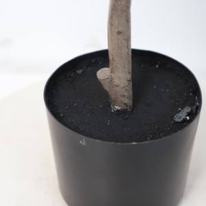 <span class=keywords><strong>Precio</strong></span> de fábrica al por mayor bonsái artificial árbol jardín decoración del hogar seda <span class=keywords><strong>olivo</strong></span> Planta artificial - Product Image 5