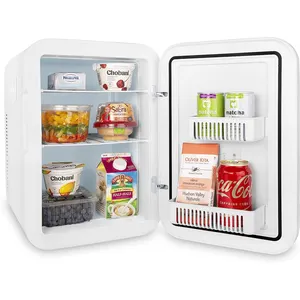 Geladeira portátil do carro refrigerador 20l mini frigorífico cosméticos carro refrigerador geladeira