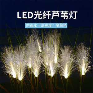 Outdoor Waterproof Garden Yard Decoration Reed Ear fibra ottica Night Light Scenic Spot Lamps Festival Christmas Holiday Lamp - Product Image 3
