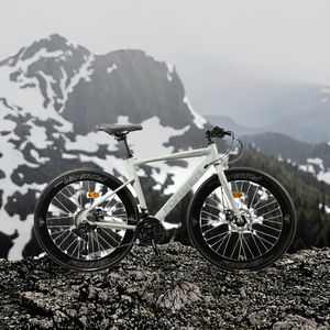 FOREVER 2025 Nouveauté <span class=keywords><strong>Vélo</strong></span> <span class=keywords><strong>28</strong></span> <span class=keywords><strong>pouces</strong></span> à 24 vitesses, freins à disque, cadre souple en acier à haute teneur en carbone durable, pour la conduite urbaine ordinaire - Product Image 3