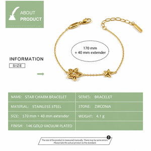 Star <b>Charm</b> <b>Bracelet</b>, Stainless Steel and Zirconia, 14K Gold Vacuum Plated, Gold and <b>Silver</b> Color Options - Product Image 2