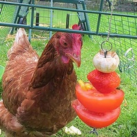 Hangend voerspeeltje voor kippen, grote vogels, hennen, groente- en fruitvoerspies van roestvrij staal