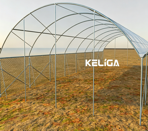 Invernadero Inteligente de Plástico Automatizado Multiusos para Agricultura Moderna, para Cultivo de Arándanos y Siembra de Tomates - Product Image 4