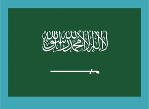 Door To Door DHL UPS Express, <strong>Sea</strong>, Air Shipping <strong>From</strong> <strong>China</strong> To Saudi Arabia, Qatar, Kuwait, <strong>Oman</strong> - Global <strong>Freight</strong> Forwarder - Product Image 4