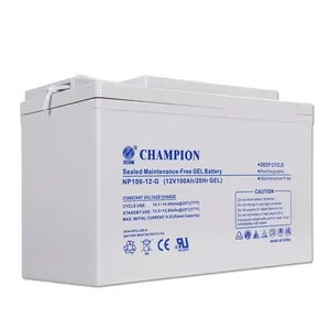 Champion 1 - 12V 100AH Gel Battery