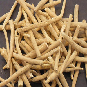 Fournisseur en gros, échantillon <span class=keywords><strong>gratuit</strong></span>, extrait d'ashwagandha de haute qualité / 1%~5% de withanolides / extrait de Withania Somnifera - Product Image 3