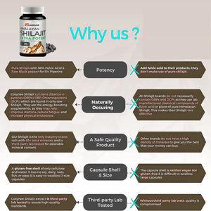 Kapsul Ekstrak Asam Fulvat Shilajit Vegan Non-GMO Label Pribadi OEM 90 Kapsul Suplemen Dewasa Pendukung Energi 2 Kapsul - Product Image 2