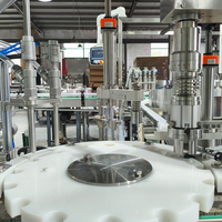 Machine de remplissage, bouchage et étiquetage entièrement automatique à 2 buses pour le conditionnement de liquides, boissons et produits chimiques – Composants essentiels