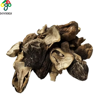 Champignons comestibles délicieux très demandés, champignons de paille naturels purs Volvariella Volvacea, noirs et blancs, 500g/sac, polysaccharide