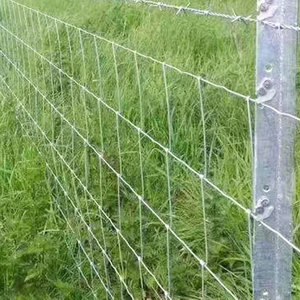 Clôture de ferme à champ fixe galvanisée à chaud Clôture de sécurité pour moutons de ferme en fil de porc <span class=keywords><strong>Poteau</strong></span> de clôture de ferme de 2.4m - Product Image 4