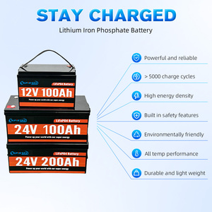 Lifepo4 Batería 12V 24V 100ah 200ah 300ah paquete de baterías de iones de litio con BMS - Product Image 2