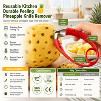 Groothandel Herbruikbare Ananas Schilmes, Ontpitter en Mes van RVS, Fruitverwijderaar