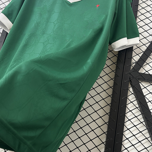 Uniforme de Fútbol Temporada 2025, Último Modelo, Camiseta Verde del <span class=keywords><strong>Flamengo</strong></span>, Versión Tailandesa, Camiseta de Fútbol Brasileña - Product Image 2