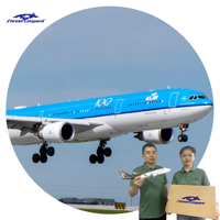 Transporteur d'expédition AirCargo de Ningbo aux EAU Dubaï DDP ONT8
