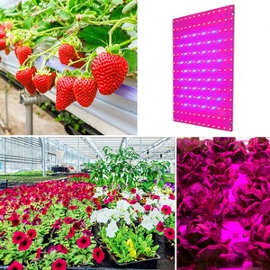 Lámpara LED de Cultivo de 45W para Todas las Plantas, Enchufe US/EU, 169 LED, Bombilla LED de 45W para Plantas, Invernaderos, Lámpara Fitoluminaria de Interior - Product Image 1