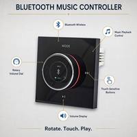 Tianlai Audio 20Hz-20Khz Yüksek Güçlü Amplifikatör Akıllı Ev Cihazları