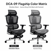 Chaise de conférence moderne ergonomique avec base à patins sans roulettes et dossier en maille pour salle de réunion, formation et conseil d'administration