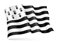 Drapeau de la Bretagne personnalisé en gros, style fanion, taille sur mesure pour le Festival Interceltique de Lorient